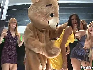 Dansende beer neukt latina kayla carrera in hete vrijgezellenfeest